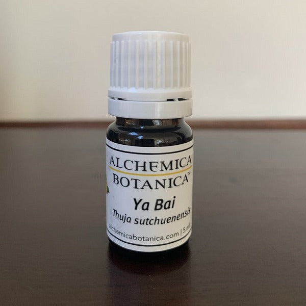 Ya Bai Essential Oil, 5ml