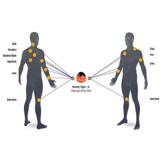 Tiger Tail Knotty Tiger Jr.