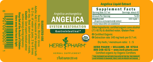 Angelica Extract, 1 oz - Image 2