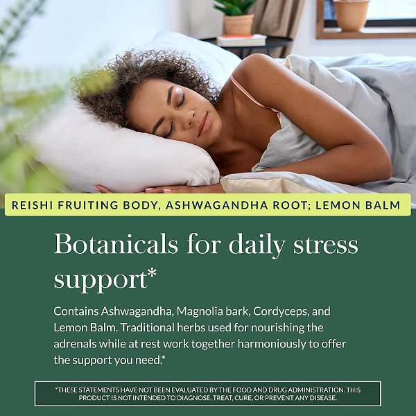 Adrenal Health Nightly Restore, 60ct - Image 3