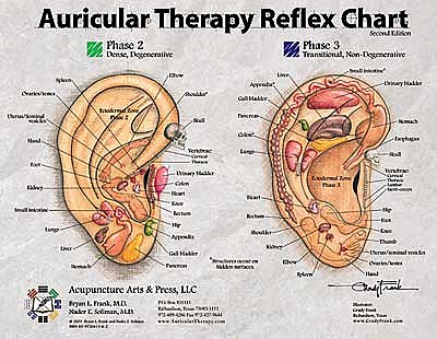 Auricular Therapy Reference Card - Image 2