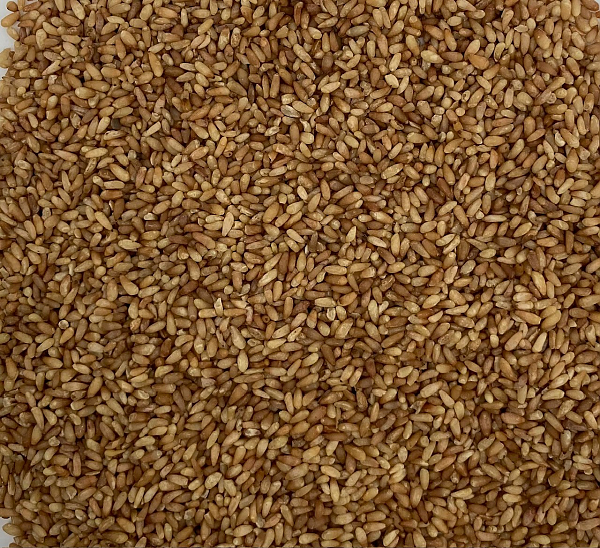 Bai Zi Ren, 1lb