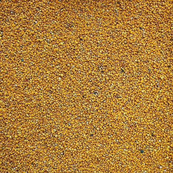 Bee Pollen, Spanish, EU Organic
