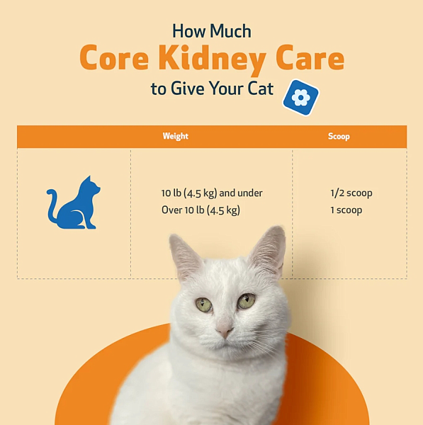 Core Kidney Care for Cats - Image 7