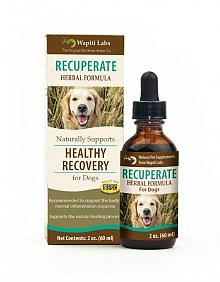 Dog Recuperate Formula, 2 oz.