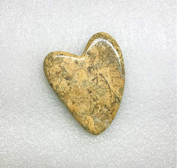 Fossil Coral Gua Sha Heart Massage Stone