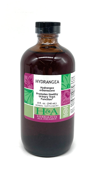 Hydrangea Extract, 8 oz.