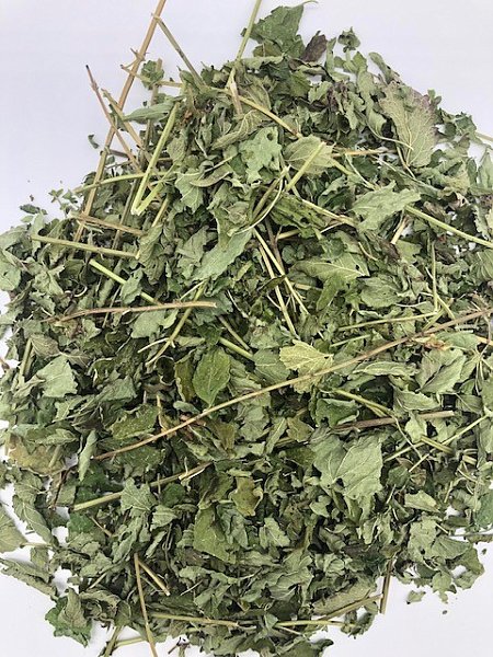 Lemon Balm - Organic, 1lb