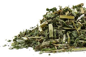 Motherwort, organic (Leonurus cardiaca), Organic