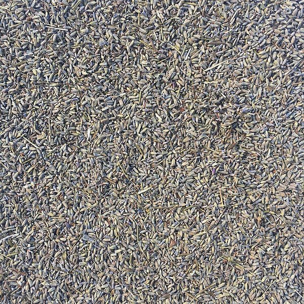 Lavender Flowers - Organic, 1lb