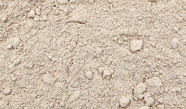 Slippery Elm Powder, organic (Ulmus rubra) usa