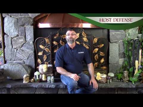 Host Defense Mushrooms MycoBotanicals Brain - 60 Capsules