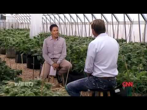 Charlotte's Web™ 60 mg/mL CBD Oil