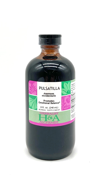 Pulsatilla (Anemone pulsatilla) fresh or dried herb or root, 8 oz.