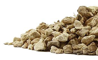 Wild Yam Root (Dioscorea villosa)