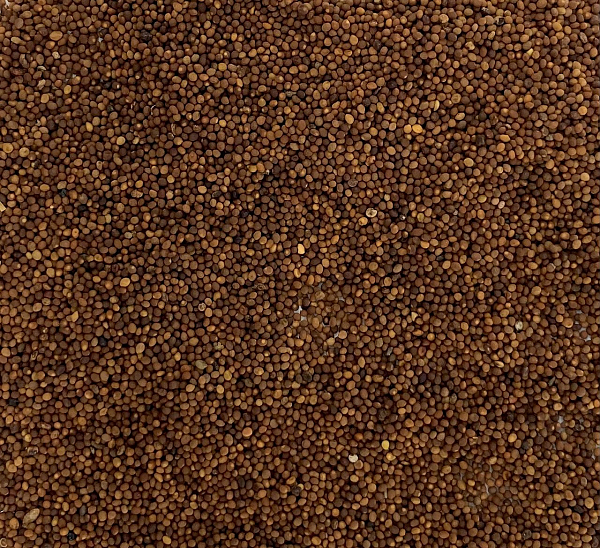 Tu Si Zi, 1lb