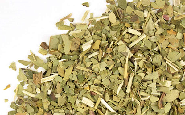 Yerba Mate, organic (Ilex paraguariensis) brazil