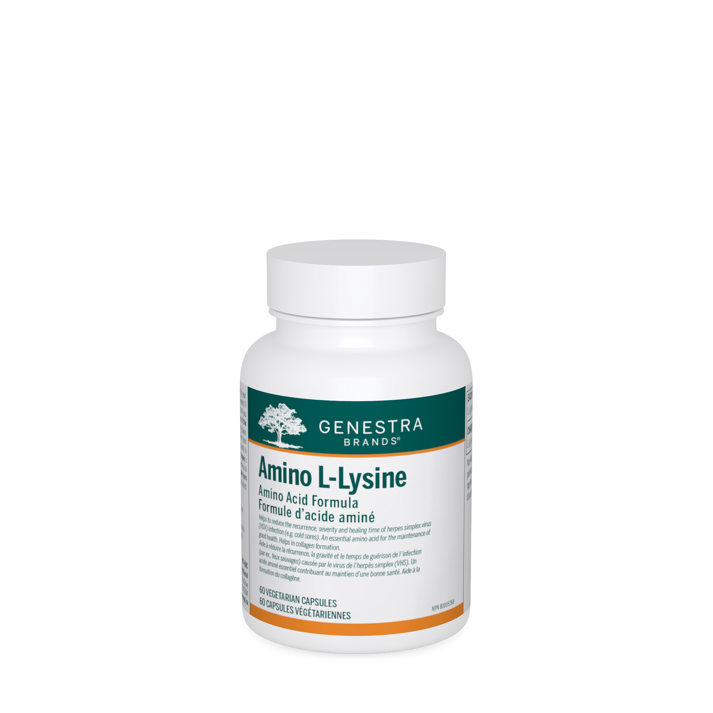 Amino L-Lysine