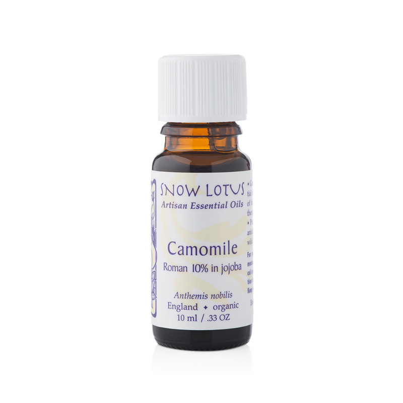 Camomile, Roman (10%) - 10mL