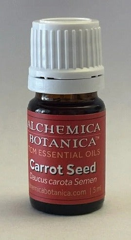 Carrot Seed - Daucus carota, 5ml