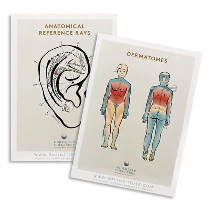 Dermatomes and Anatomical Reference Chart