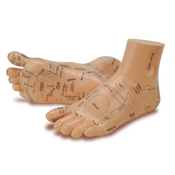 Foot Reflex Model Set