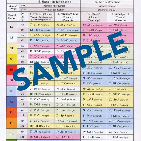 5 Element - 4 Needle Protocol Chart