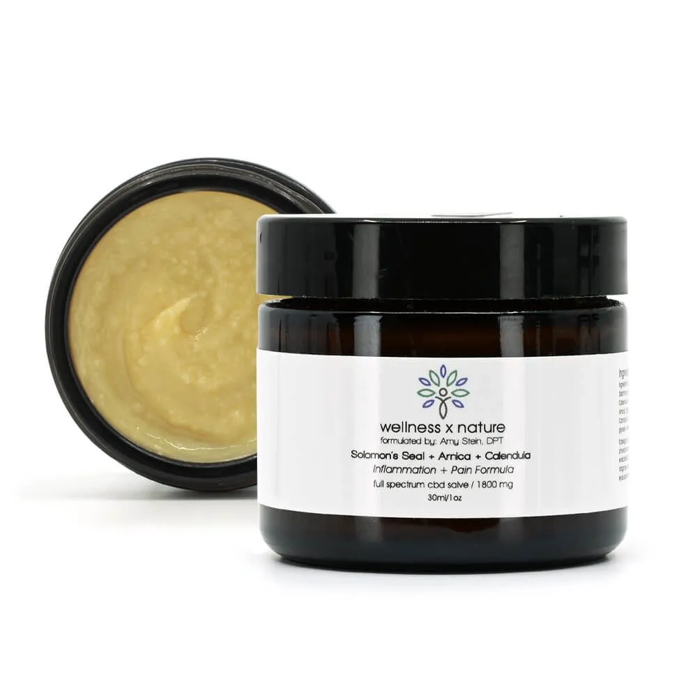 wellness x nature Salve - Inflammation + Pain Formula - 1.7oz/3000mg