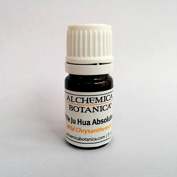 Bai Ju Hua - White Chrysanthemum, 5ml Absolute