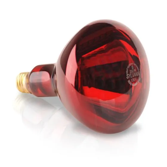 250W Satco IR Bulb