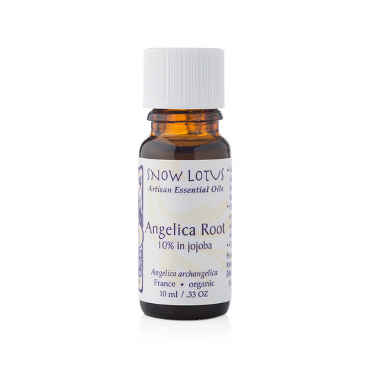 Angelica Root - 10mL