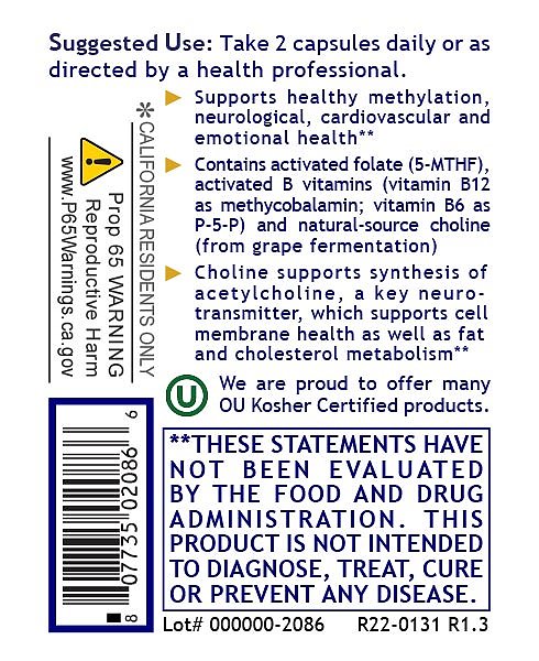 Phyto Methylate, 60 caps - Image 3
