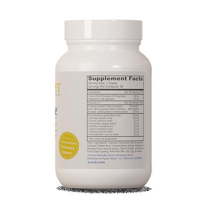 Pet Rentone, 90 Caplets