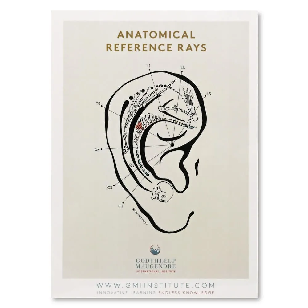 Dermatomes and Anatomical Reference Chart
