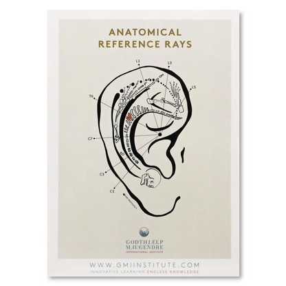 Dermatomes and Anatomical Reference Chart