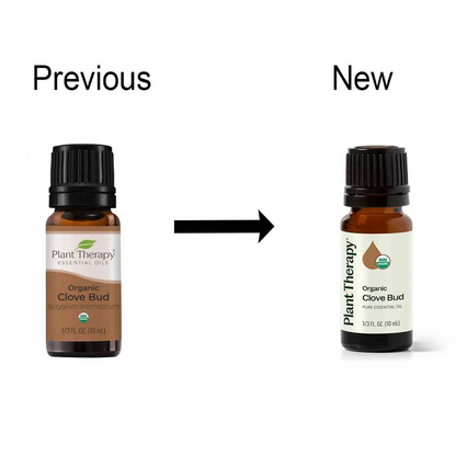 Plant Therapy Organic Clove Bud Essential Oil