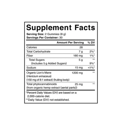 Charlotte's Web™ CBD Gummies Sample Packs - Brain Support