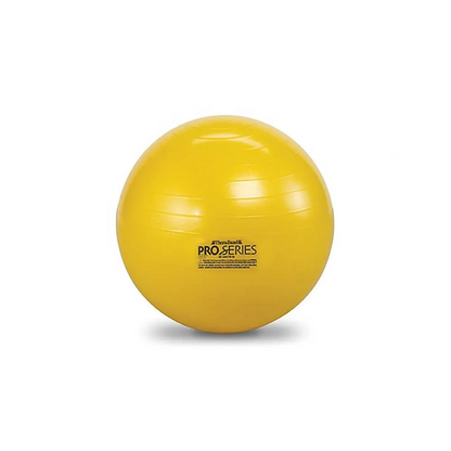 TheraBand Pro Series SCP Exercise Ball