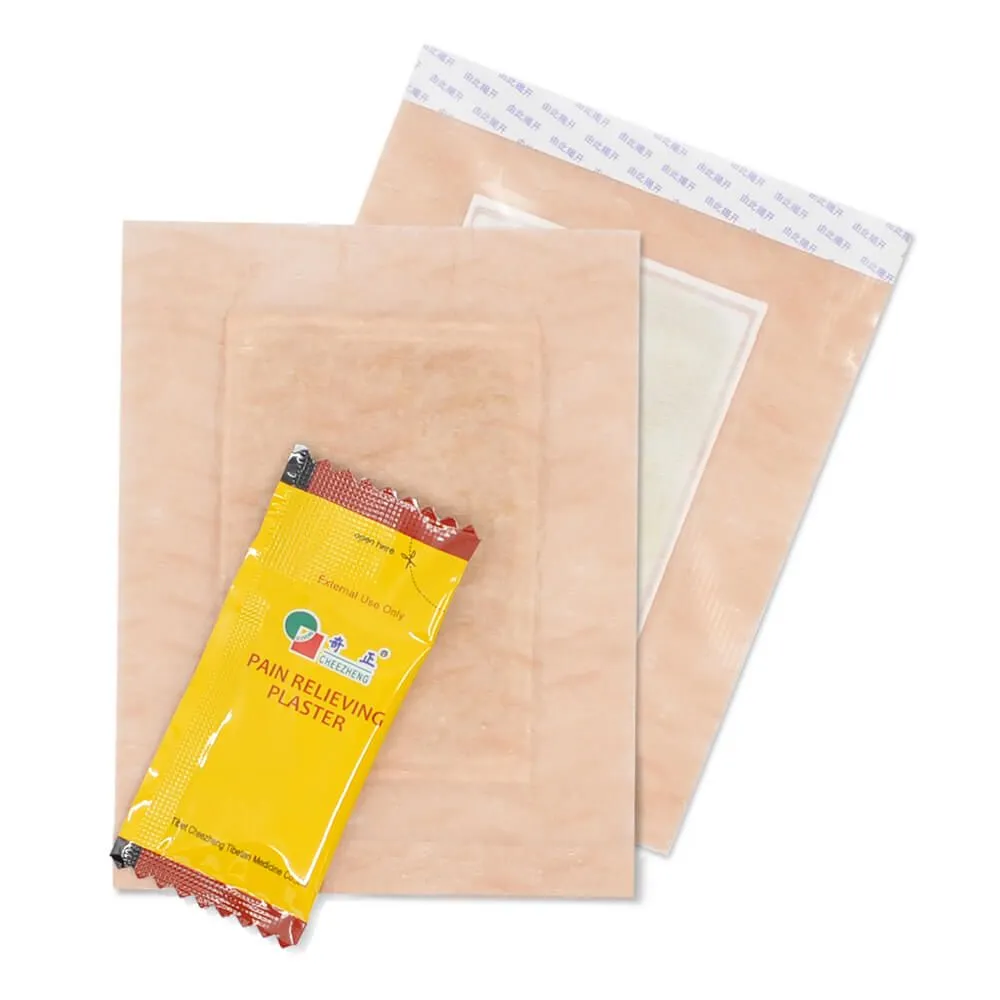 Cheezheng Pain Relieving Plaster