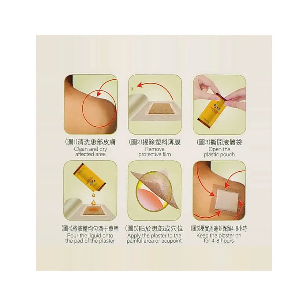 Cheezheng Pain Relieving Plaster