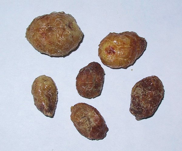 Ban Xia (Fa-True) - Lab Tested, 1lb