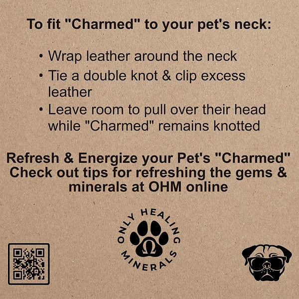 Charmed Pet Necklace, Quartz - Image 3