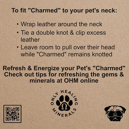 Charmed Pet Necklace, Black Tourmaline - Image 3