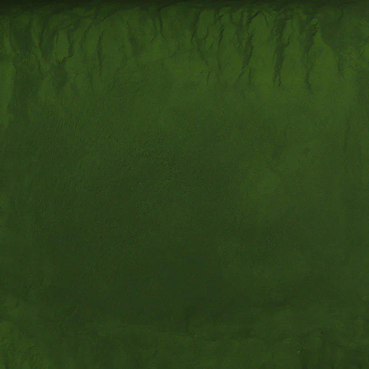 Chlorella Powder - (Organic) Broken Cell, 1lb