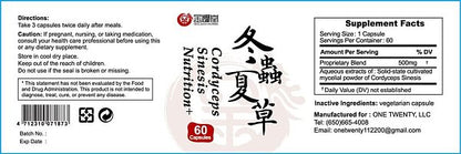Cordyceps Sinesis Nutrition+ Capsules - Image 3