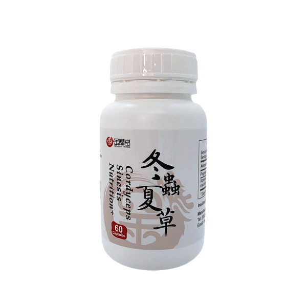 Cordyceps Sinesis Nutrition+ Capsules