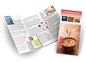 Different Styles of Acupuncture Brochure 50 Count