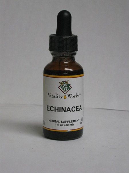 Echinacea angustifolia, 1 oz.