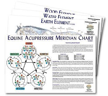 Equine 5-Element Chart Set (4 charts)
