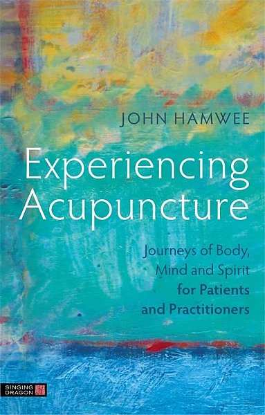 Experiencing Acupuncture, Book